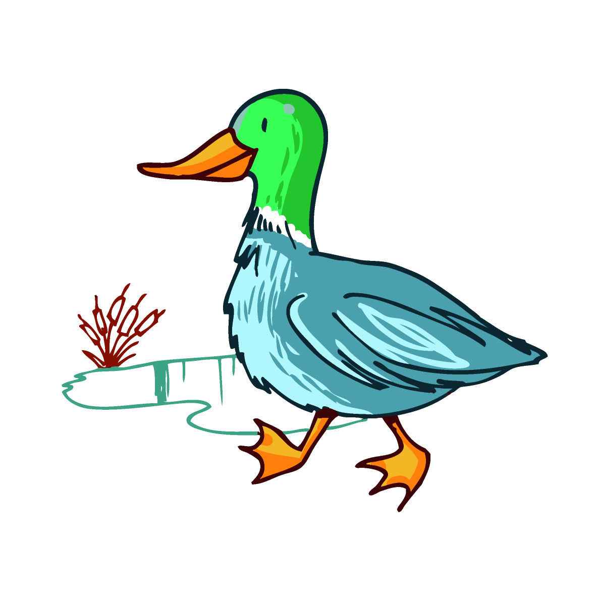 Responsive Image